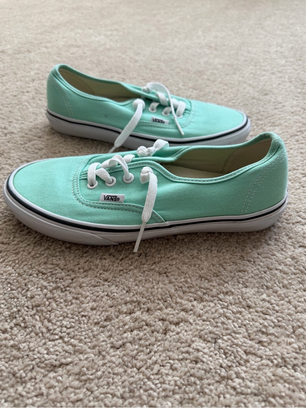 Vans Authentic canvas sneakers refreshing mint green colorway Mens 6 Women’s 7.5